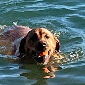 Meet your Posher, Brooklyn